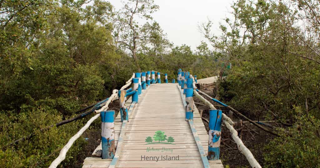 henry island bridge