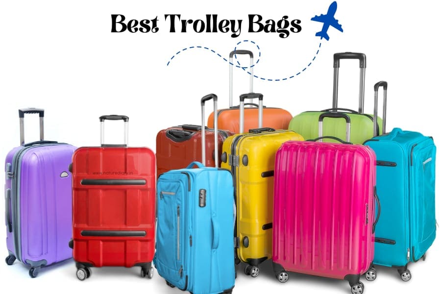 travelling bags company in india